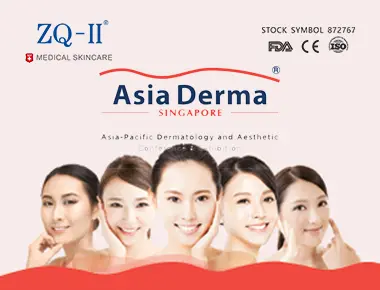 Pameran Singapore 12.5-7